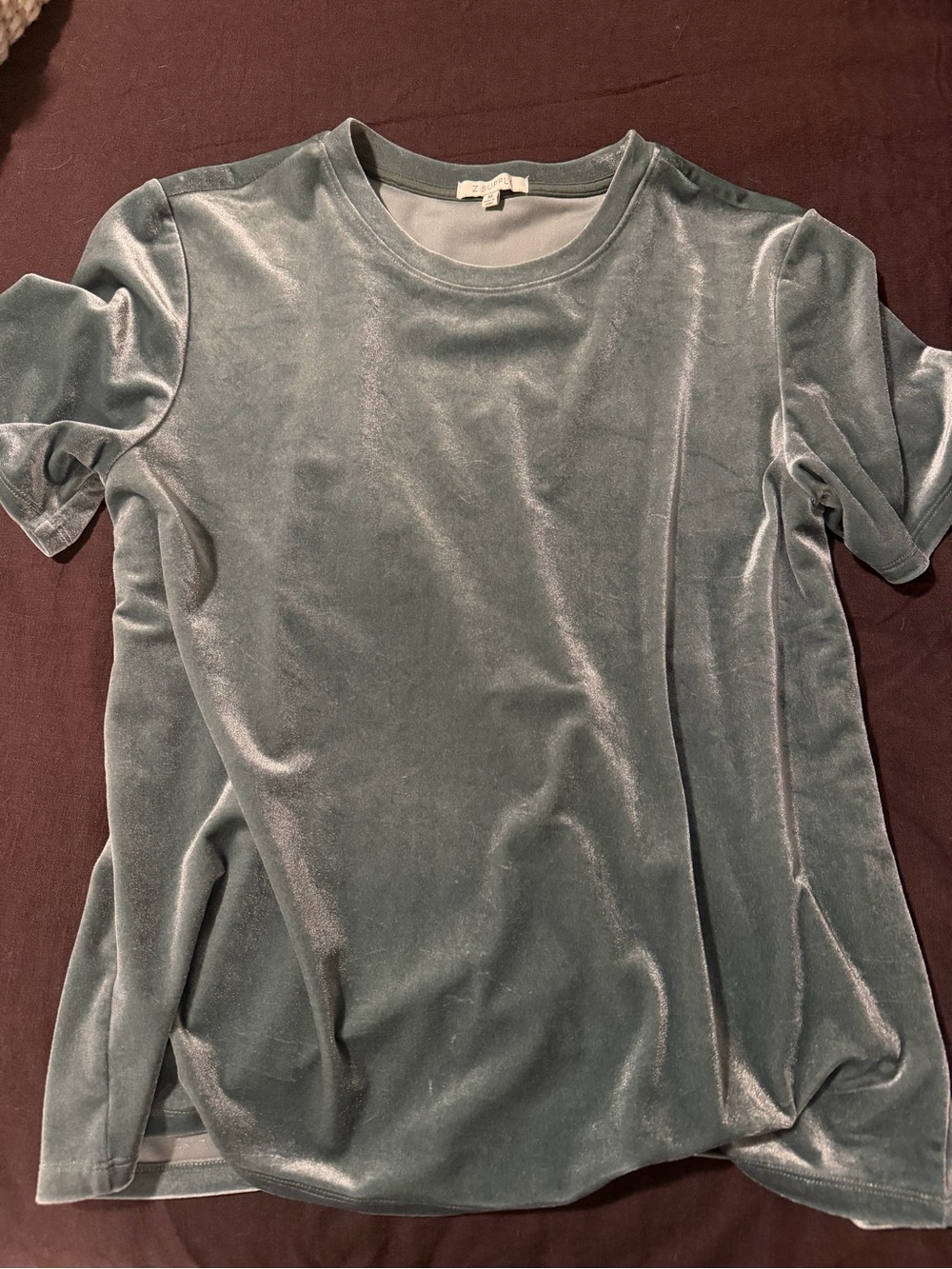 Z Supply Velvet Short Sleeve Tee in Muted Teal
